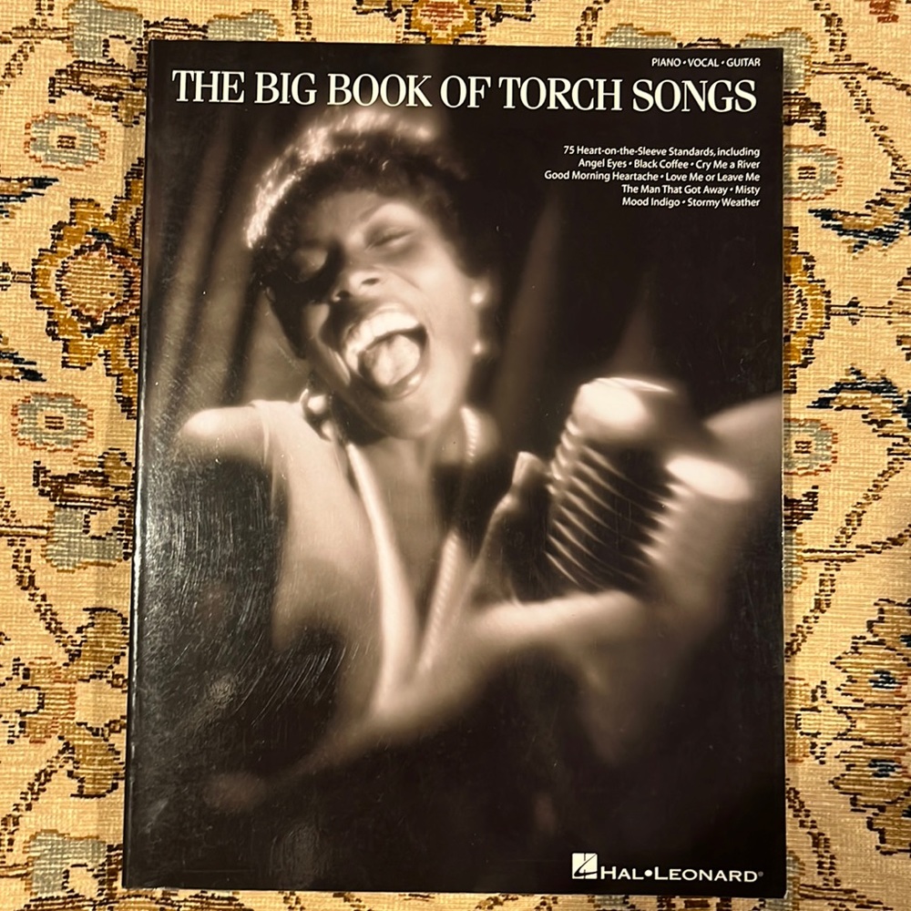 The Big Book Of Torch Songs Hal Leonard Piano Vocal Guitar Softcover Book EXC